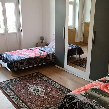 Grand 4P Strasbourg Orangerie 7 Personnes Proche D Allemagne Exterior foto